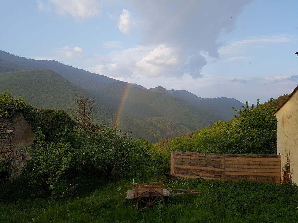 Bed and Breakfast Domaine Des Massols Marsat Exterior foto